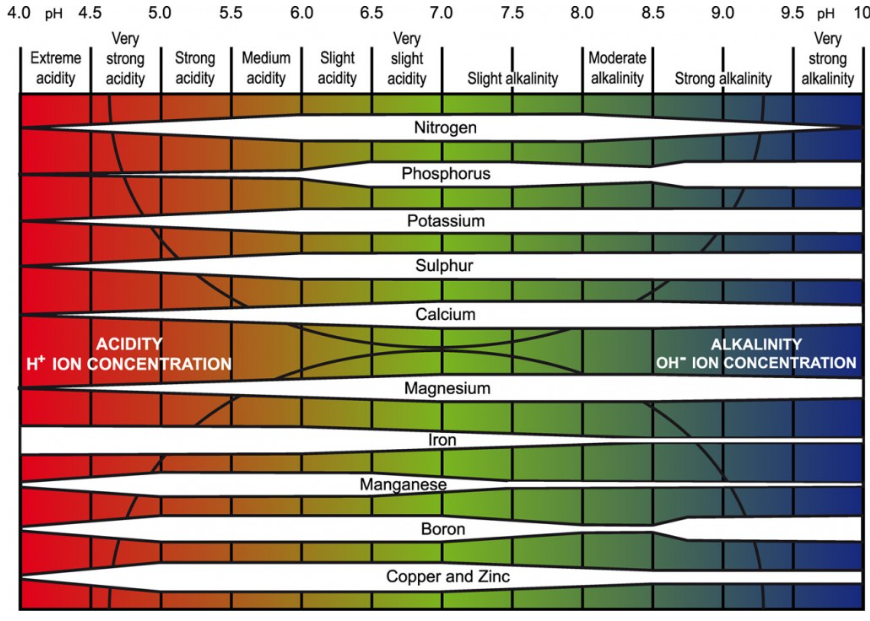 Nutrient availability by soil pH
